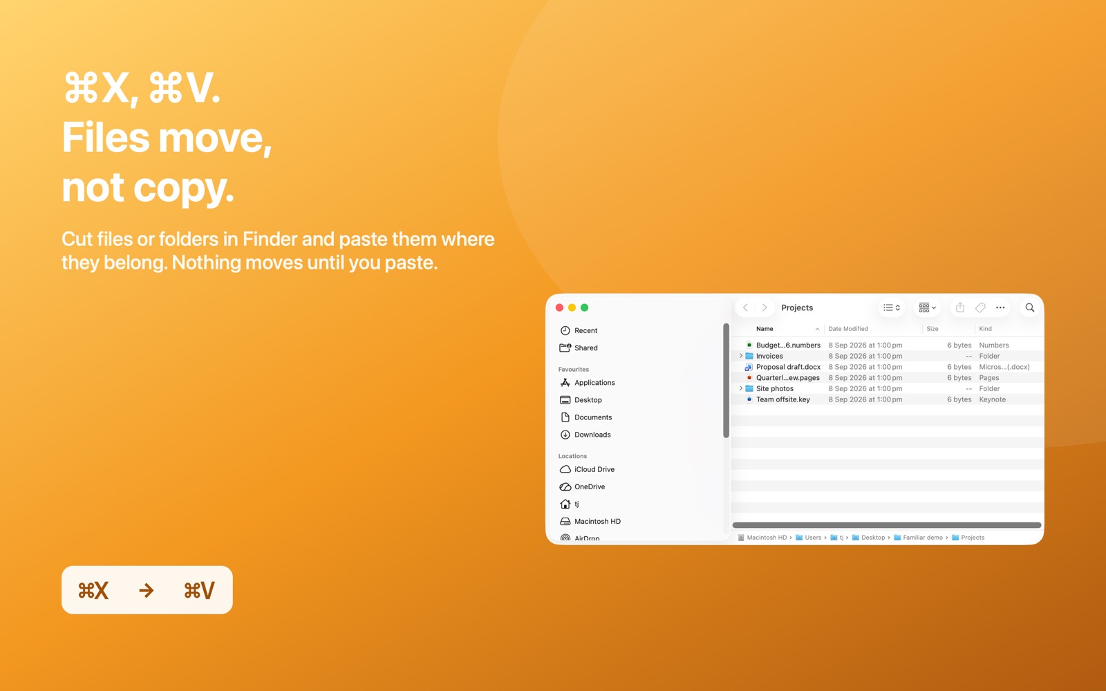 Cutting a file in Finder with Command+X and pasting it into another folder